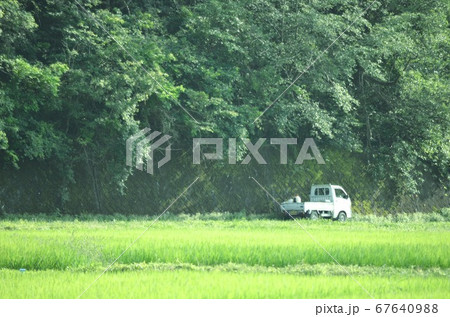 初夏の畦道、田舎の田園風景 初夏の畦道、田舎の田園風景 67640988