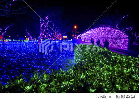 ミライエ　  ライトアップ　 67642513