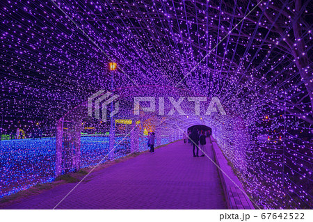 ミライエ　  ライトアップ　 67642522