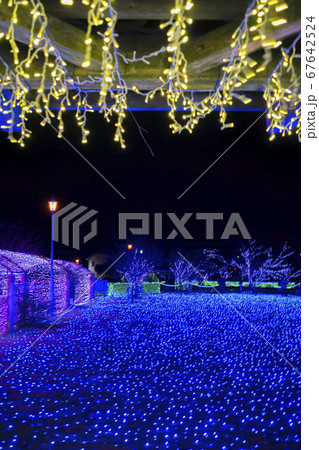 ミライエ ライトアップ ミライエ ライトアップ 67642524