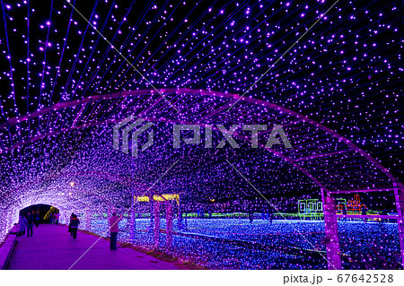 ミライエ　  ライトアップ　 67642528