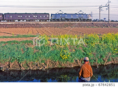 鉄道　国鉄：EF58　牽引荷物列車　栗橋～久喜 間 67642851