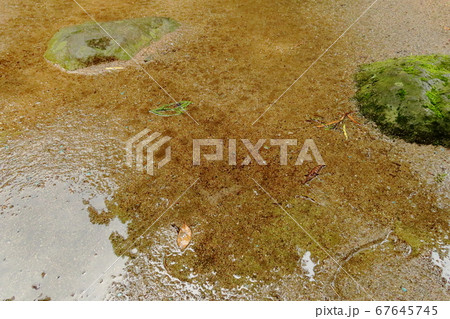 水たまりのある地面 水たまりのある地面 67645745