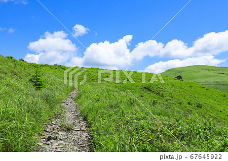 夏の霧ヶ峰ハイキング　エコイメージ 67645922