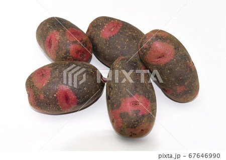 じゃがいも（デストロイヤー） 67646990