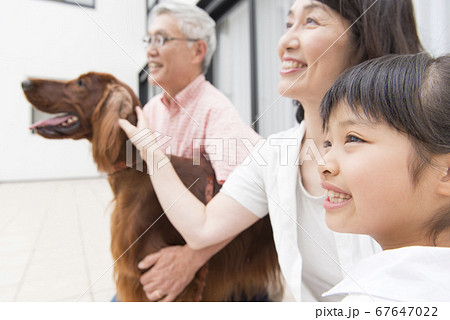 祖父母と孫とペット 祖父母と孫とペット 67647022