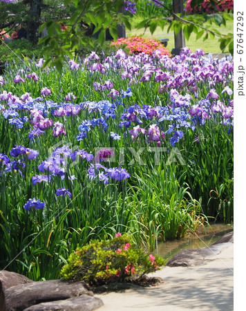 大村公園(長崎県大村市) 67647292