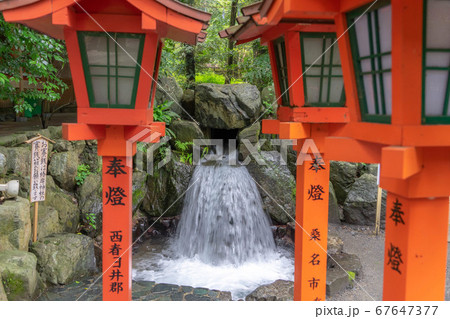 椿大神社4118 67647377