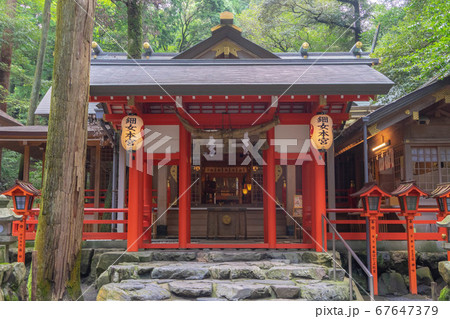 椿大神社4103 67647379
