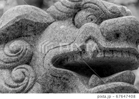 椿大神社4048 椿大神社4048 67647408