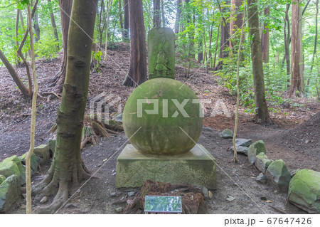 椿大神社4027 67647426