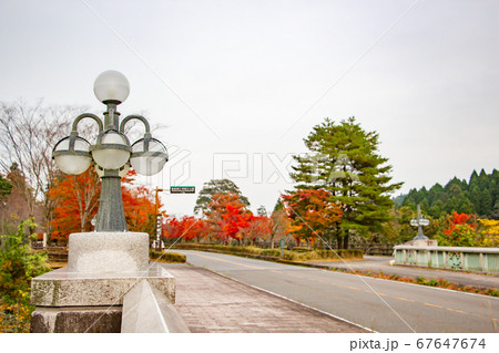 霧島錦江湾国立公園の霧島神宮へ向かう道沿いの紅葉 霧島錦江湾国立公園の霧島神宮へ向かう道沿いの紅葉 67647674