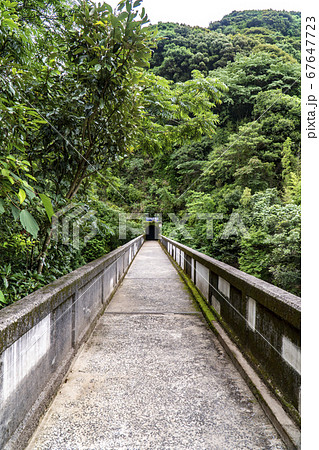 長崎県西海市 つがね落しの滝までの風景 長崎県西海市 つがね落しの滝までの風景 67647723