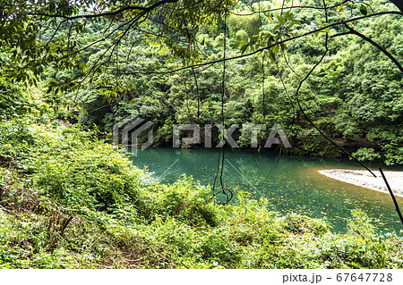 長崎県西海市　つがね落しの滝までの風景 67647728