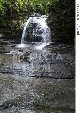 長崎県西海市 初夏のつがね落しの滝 長崎県西海市 初夏のつがね落しの滝 67647732