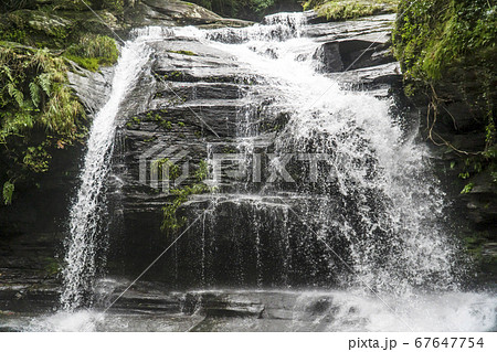 長崎県西海市 初夏のつがね落しの滝 長崎県西海市 初夏のつがね落しの滝 67647754