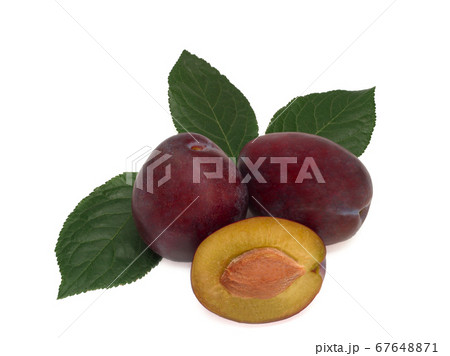 Three plums with plum leaves on white background. 67648871