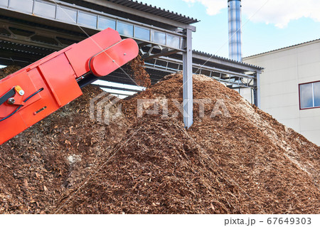 conveyor of industrial woodchipper producing wood 67649303