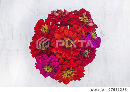 Bouquet of red zinnia flowers top view Bouquet of red zinnia flowers top view 67651288