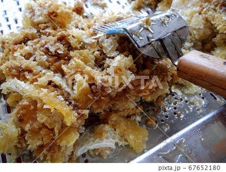 wax honeycomb from a bee hive filled with golden 67652180