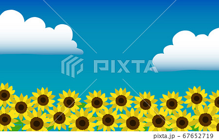 ひまわり畑と夏の青空の手描きイラスト背景のイラスト素材 67652719 Pixta