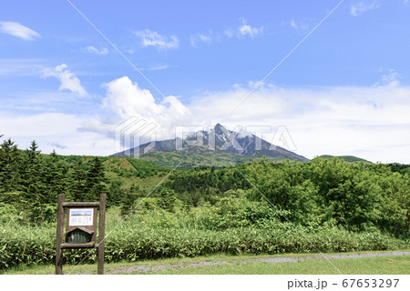 利尻山・オタトマリ沼より望む 利尻山・オタトマリ沼より望む 67653297