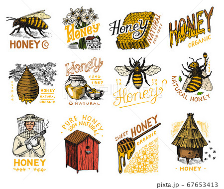Honey and bees set. Beekeeper man and Honeycombs and hive and apiary. Vintage logo for typography 67653413