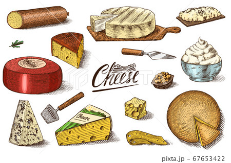 Cheese set. Slices of Mascarpone Bleu de Gex Edam Camembert Mozzarella for market or grocery store 67653422