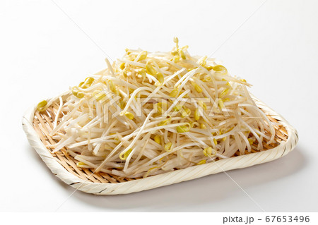 もやし もやし 67653496