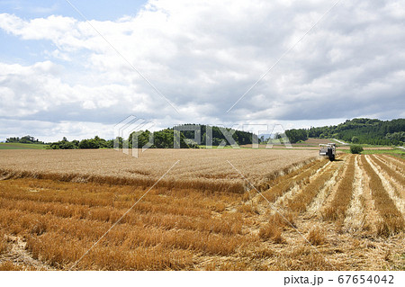 北海道厚沢部町で麦秋を迎えコンバインで麦の刈り入れ作業をする夏の風景を撮影 北海道厚沢部町で麦秋を迎えコンバインで麦の刈り入れ作業をする夏の風景を撮影 67654042