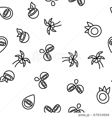 Coconut Food Vector Seamless Pattern Coconut Food Vector Seamless Pattern 67654668
