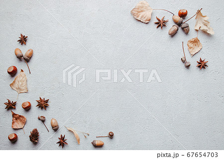 Autumn festive floral background with dry foliage 67654703