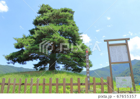 中山道 平出一里塚 南側 中山道 平出一里塚 南側 67655357