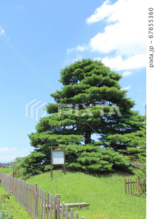 中山道　平出一里塚　北側 67655360
