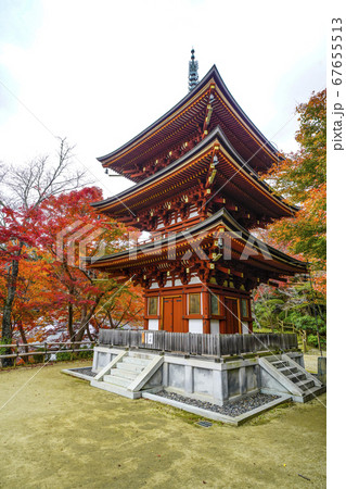 奈良　秋の岡寺の三重宝塔 67655513