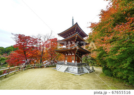 奈良 秋の岡寺の三重宝塔 奈良 秋の岡寺の三重宝塔 67655516
