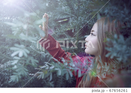 光と植物と赤い服を着た女性のフォトジェニックなイメージ写真 光と植物と赤い服を着た女性のフォトジェニックなイメージ写真 67656261