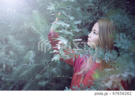 光と植物と赤い服を着た女性のフォトジェニックなイメージ写真 67656262
