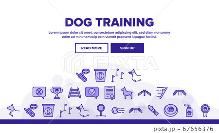 Dog Training Equipment Landing Header Vector 67656376