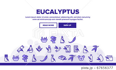 Eucalyptus Herbal Leaf Landing Header Vector 67656377