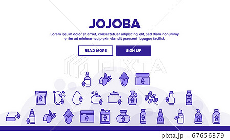 Jojoba Natural Product Landing Header Vector 67656379