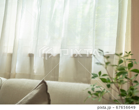 カーテン越しに朝日が差し込むリビングルームの窓辺 カーテン越しに朝日が差し込むリビングルームの窓辺 67656649