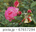 クリスマス飾りと薔薇の花 67657294