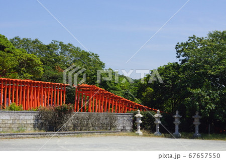 山口県 下関市 豊浦町 福徳稲荷神社の千本鳥居 山口県 下関市 豊浦町 福徳稲荷神社の千本鳥居 67657550
