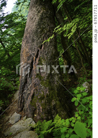 韓国 ヒーリング 国立公園 67657711
