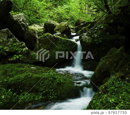 麟蹄郡 大勝滝 滝 67657750