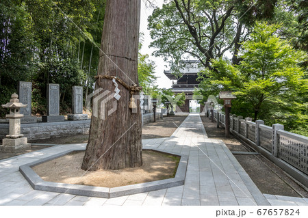 石鎚神社 口之宮本社 石鎚神社 口之宮本社 67657824