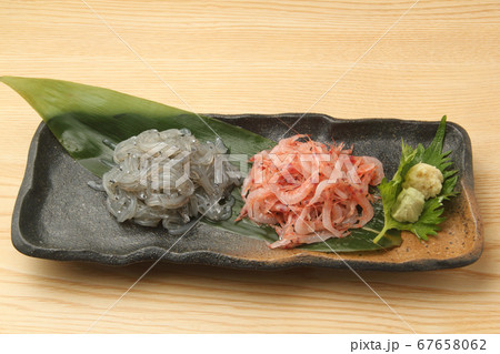 生シラス 67658062