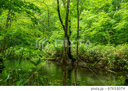 青森県　自然の散歩道 67658074