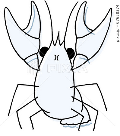 威嚇するニホンザリガニ 白色 色ずれ のイラスト素材